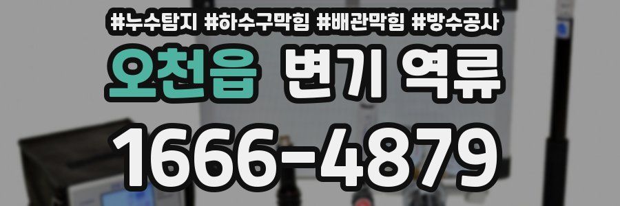 오천읍 변기 역류