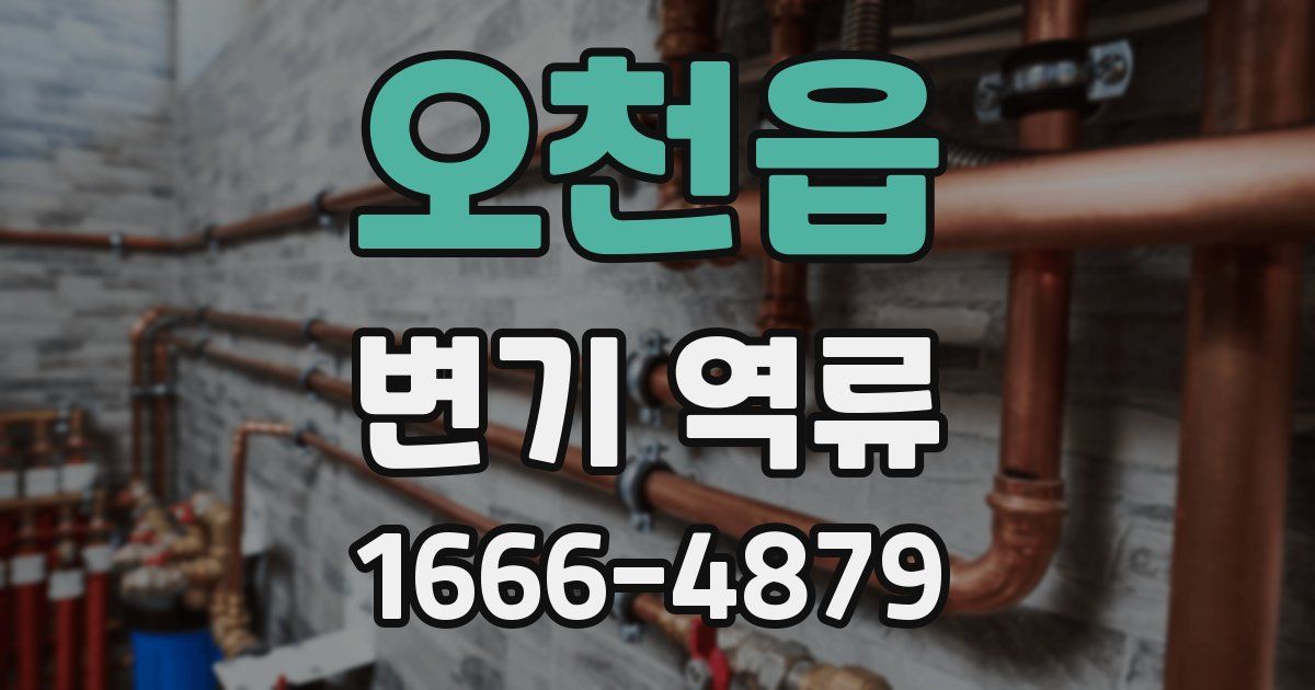 오천읍 변기 역류