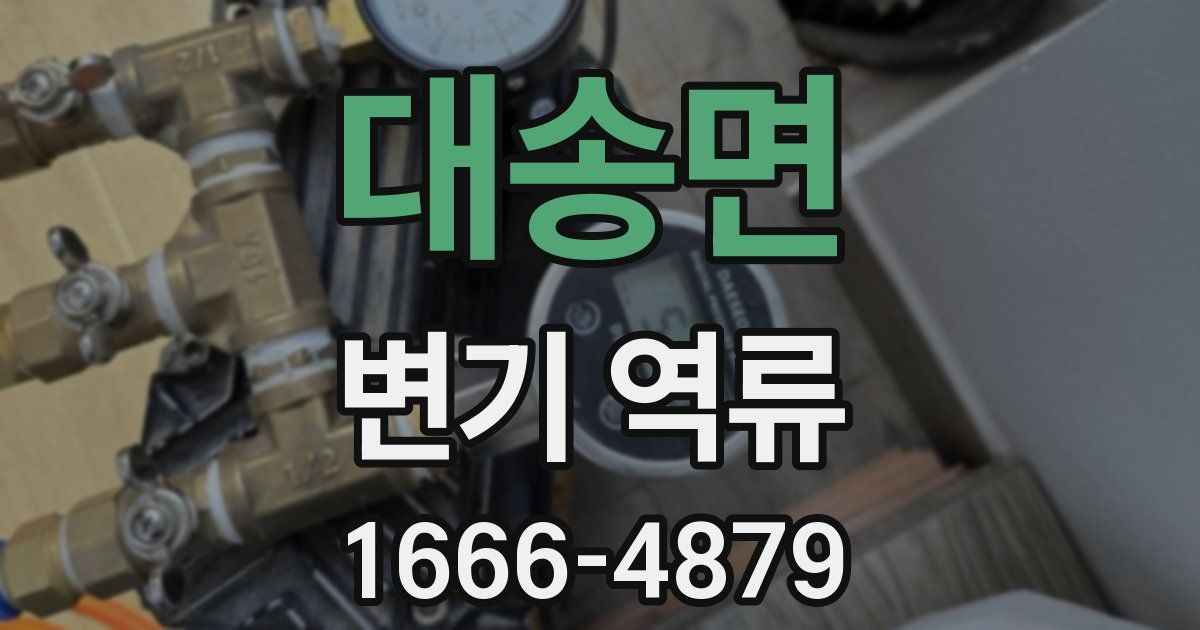 대송면 변기 역류