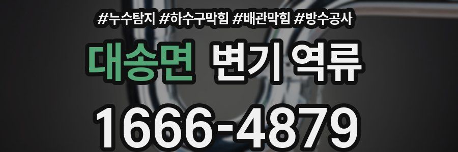 대송면 변기 역류