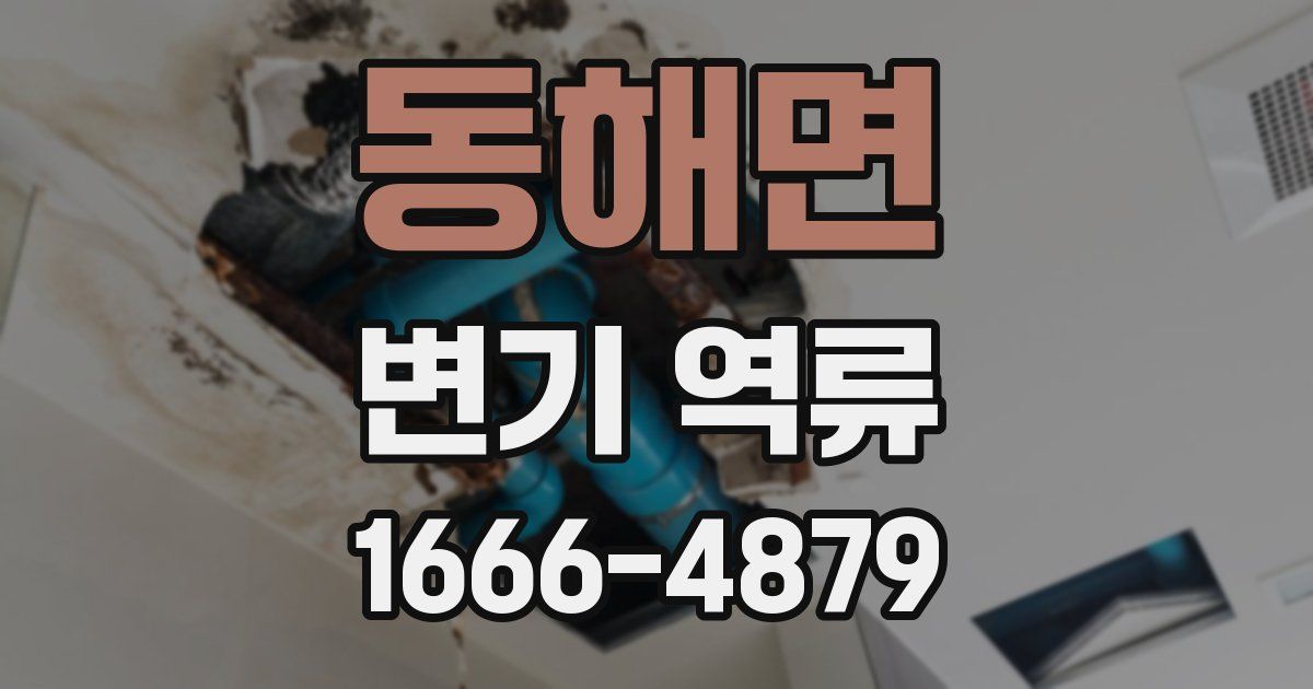 동해면 변기 역류