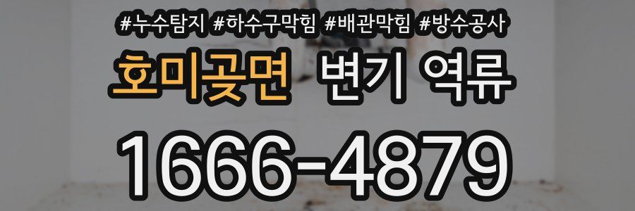 호미곶면 변기 역류