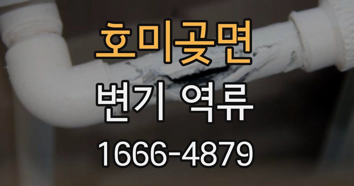 호미곶면 변기 역류