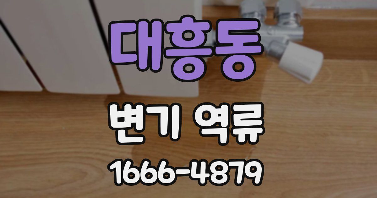 대흥동 변기 역류