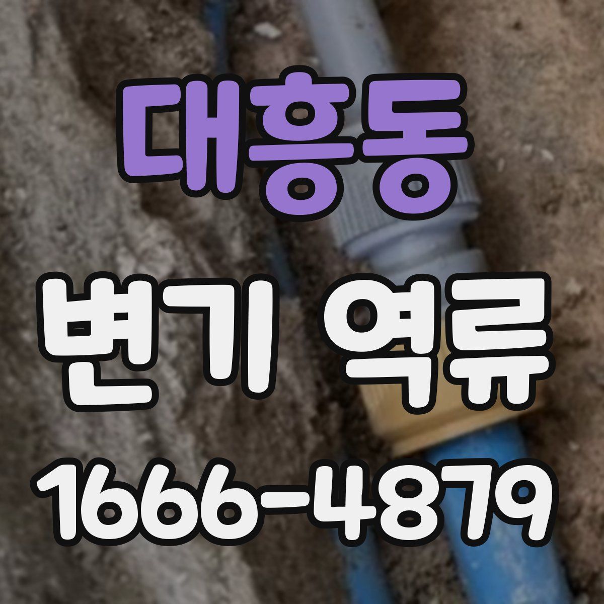 대흥동 변기 역류