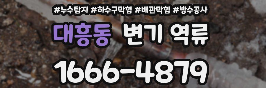 대흥동 변기 역류