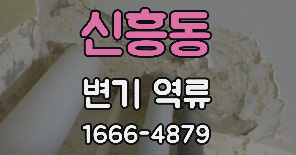신흥동 변기 역류