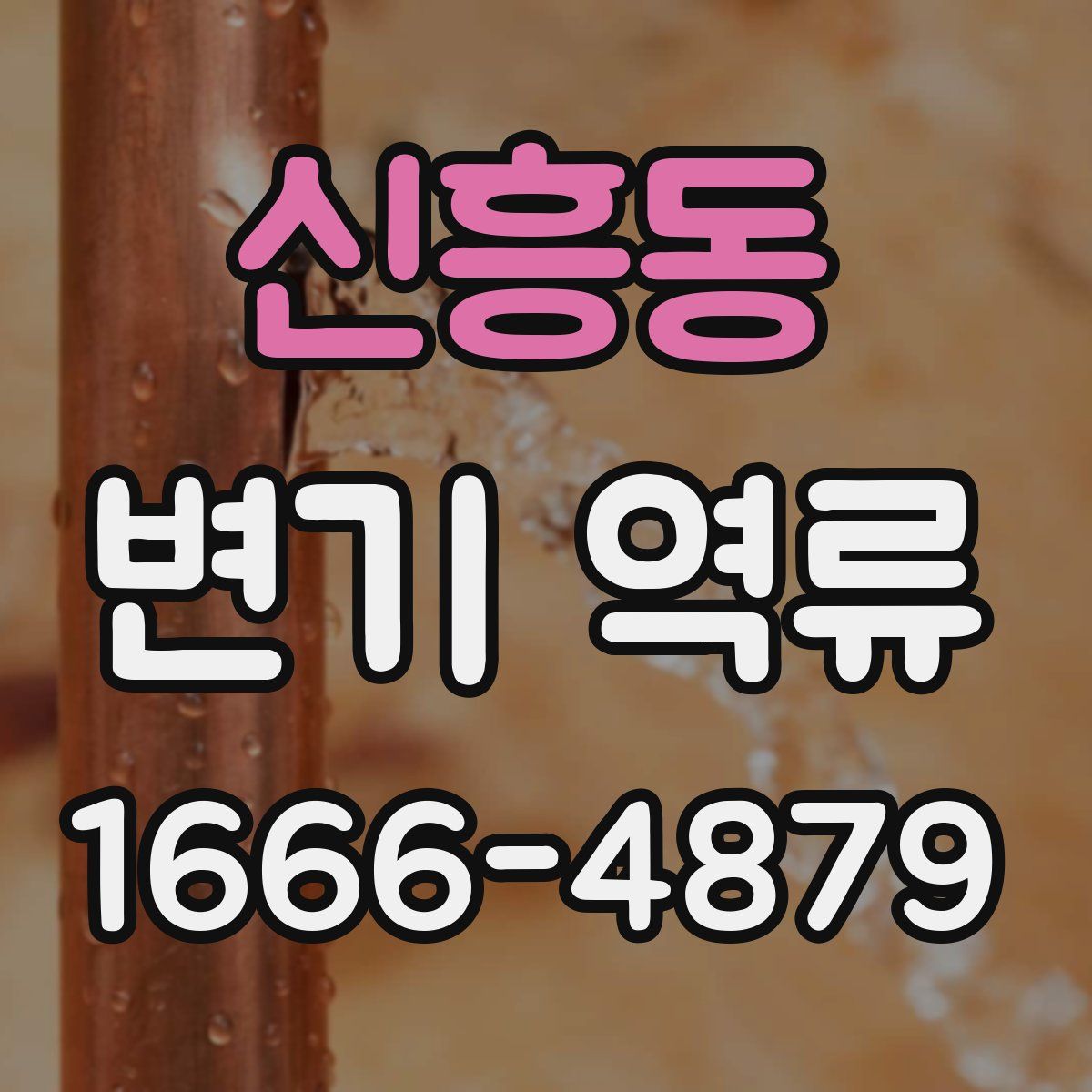 신흥동 변기 역류