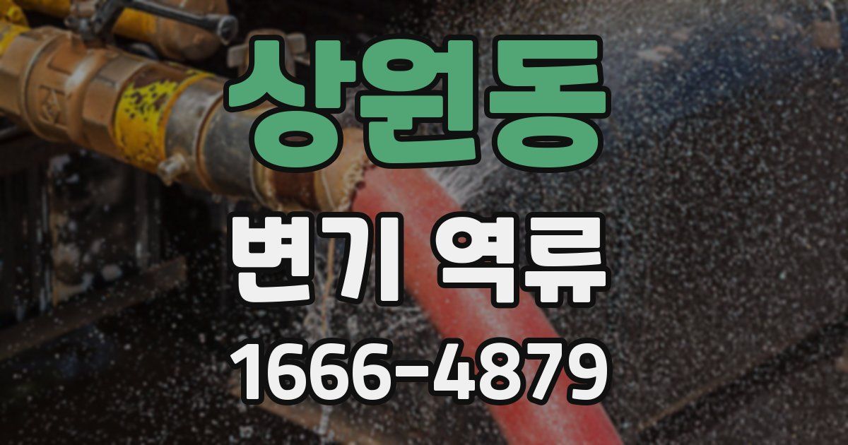상원동 변기 역류