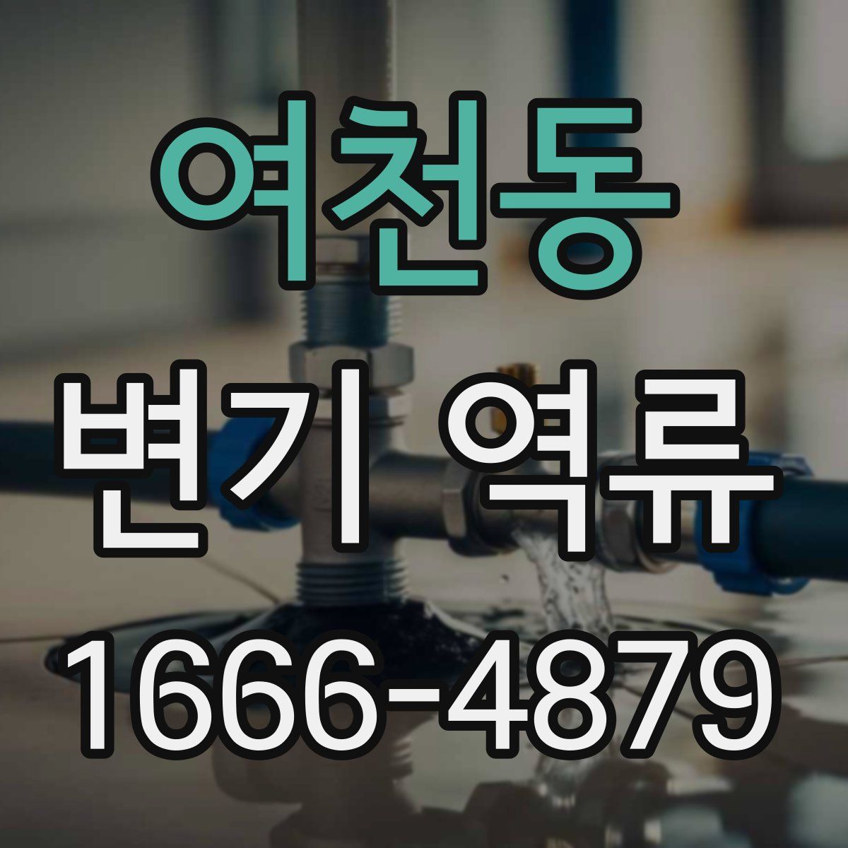 여천동 변기 역류