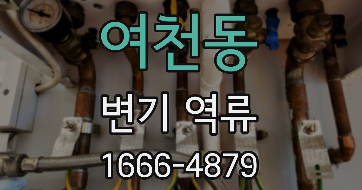 여천동 변기 역류