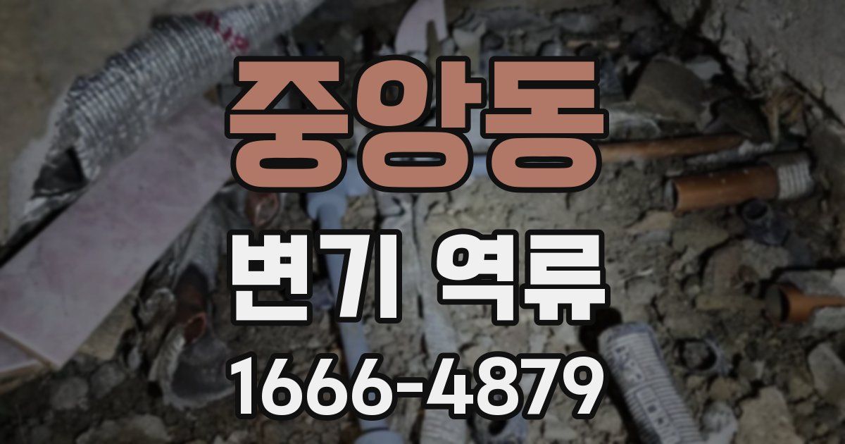 중앙동 변기 역류