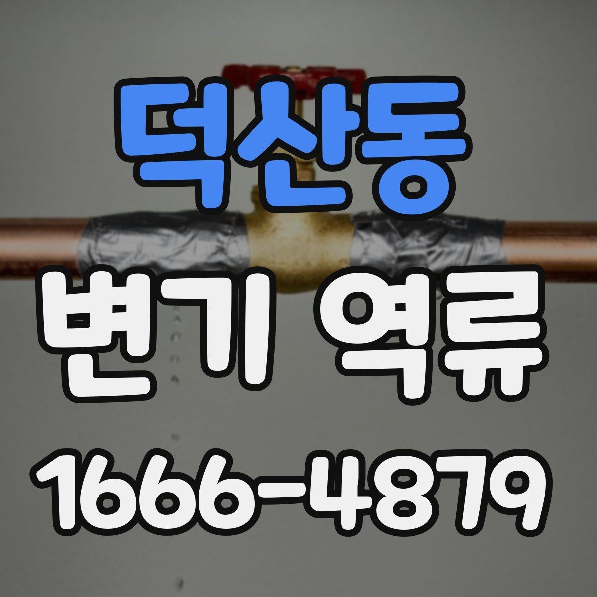덕산동 변기 역류 재발 방지를 위한 청소와 관리