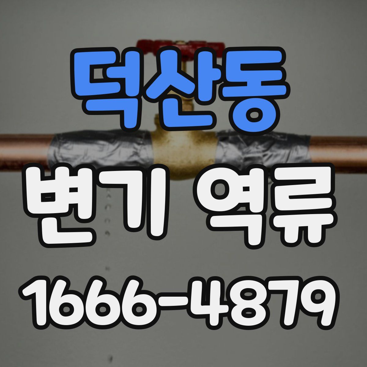 덕산동 변기 역류