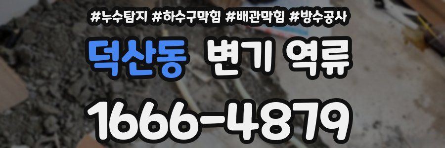 덕산동 변기 역류
