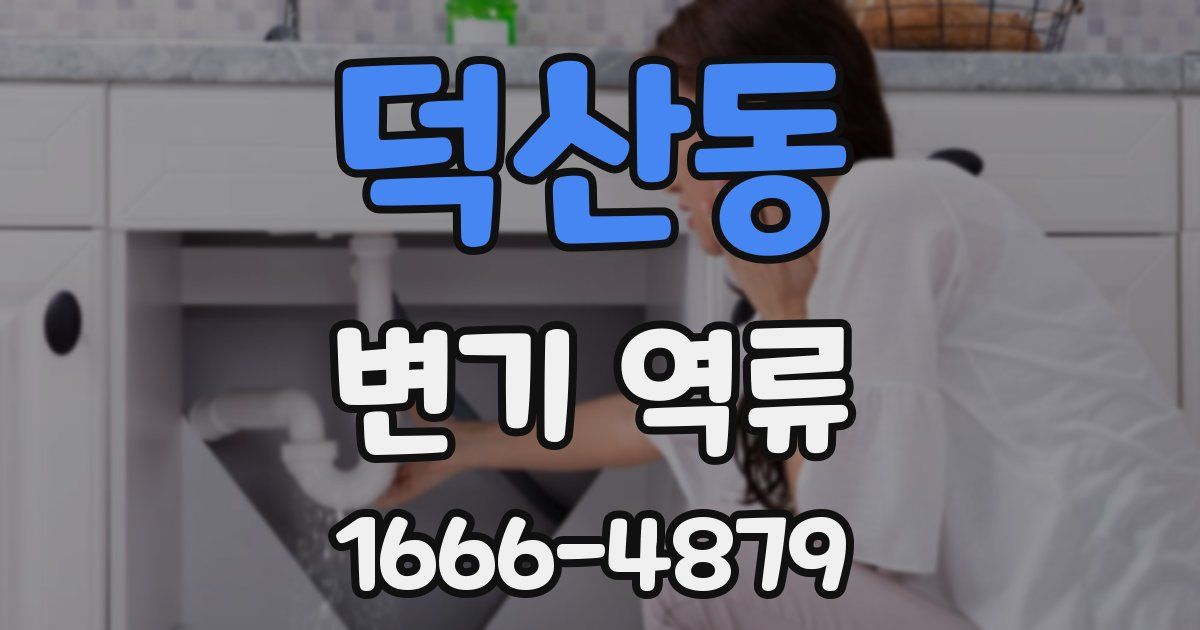 덕산동 변기 역류