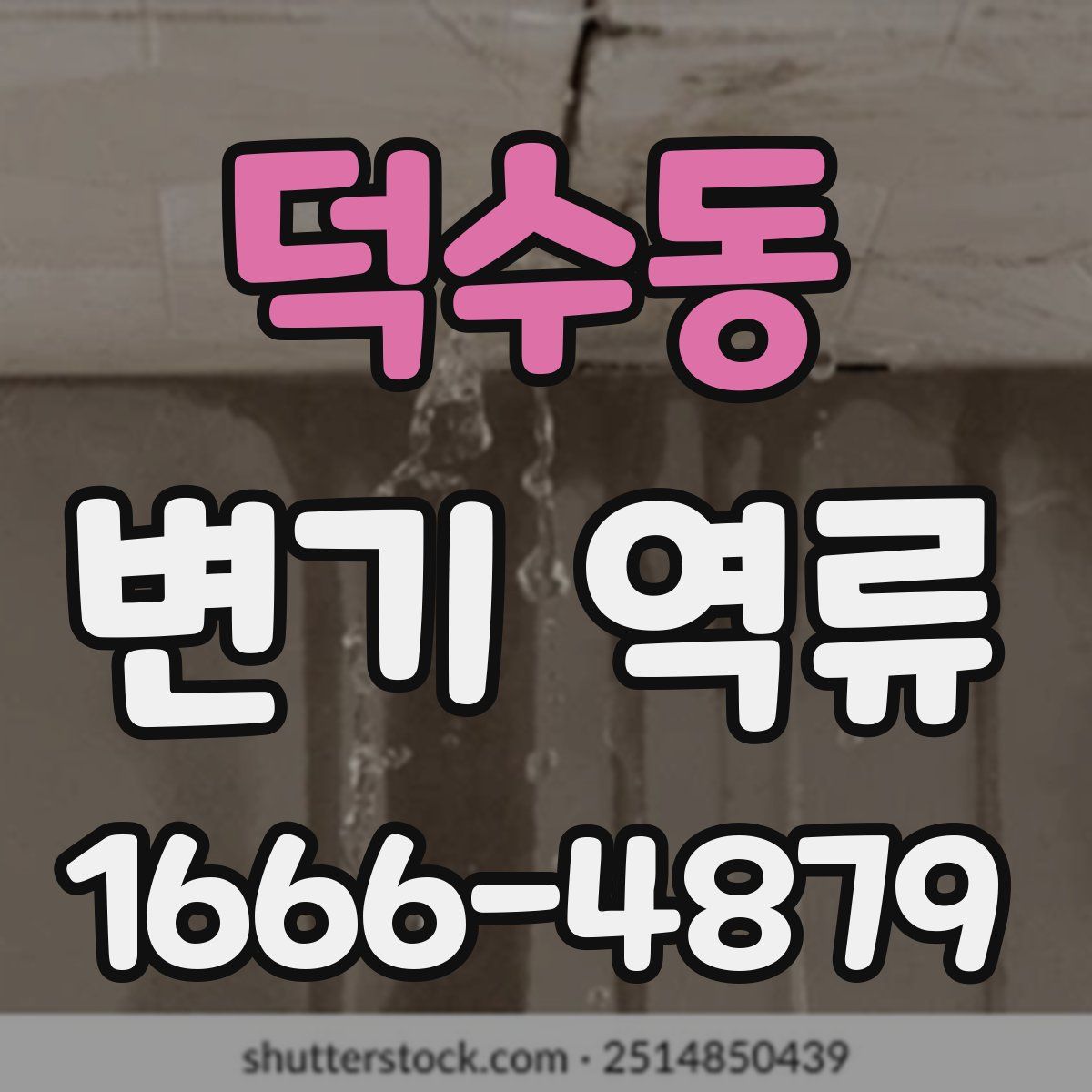 덕수동 변기 역류