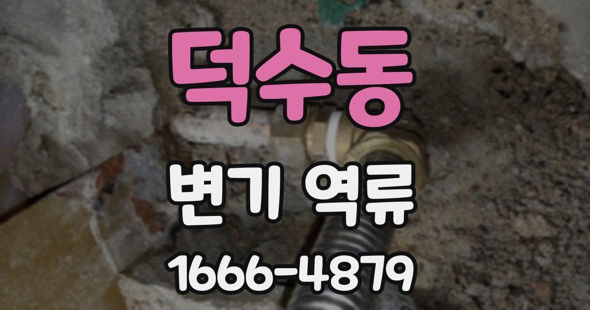 덕수동 변기 역류