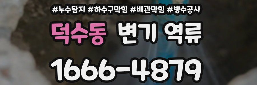 덕수동 변기 역류
