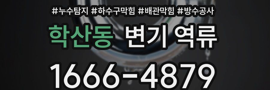 학산동 변기 역류