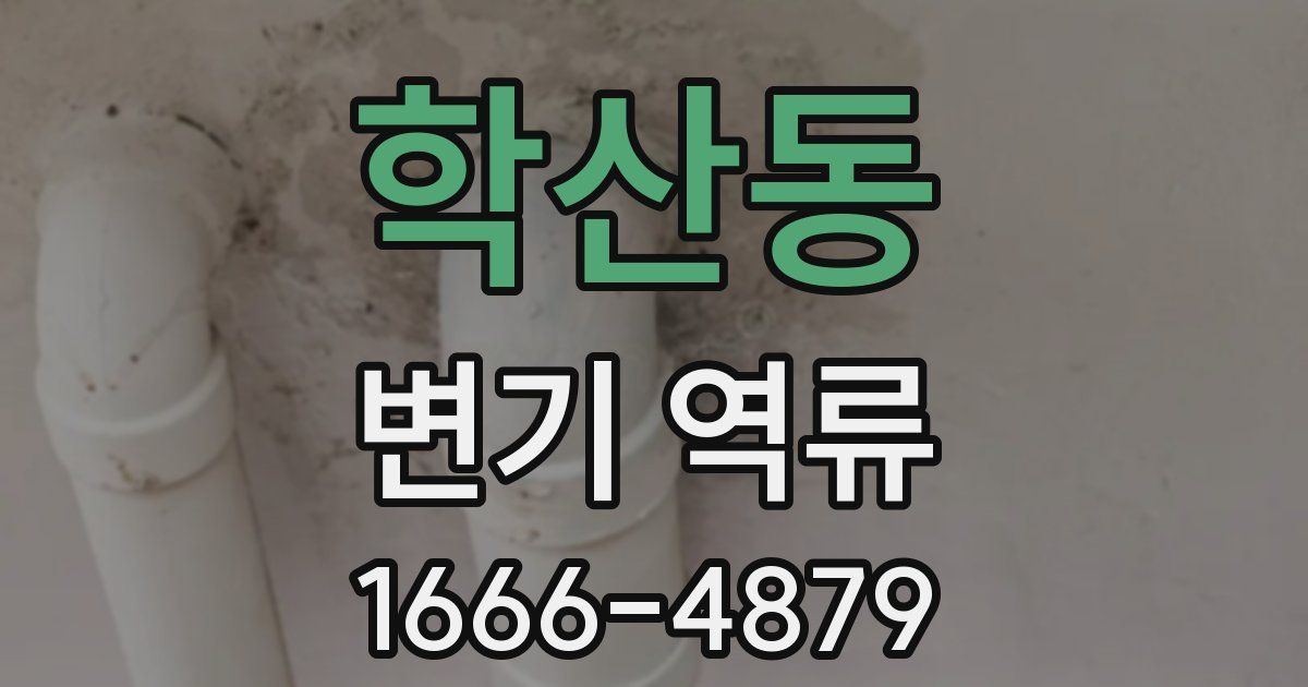 학산동 변기 역류