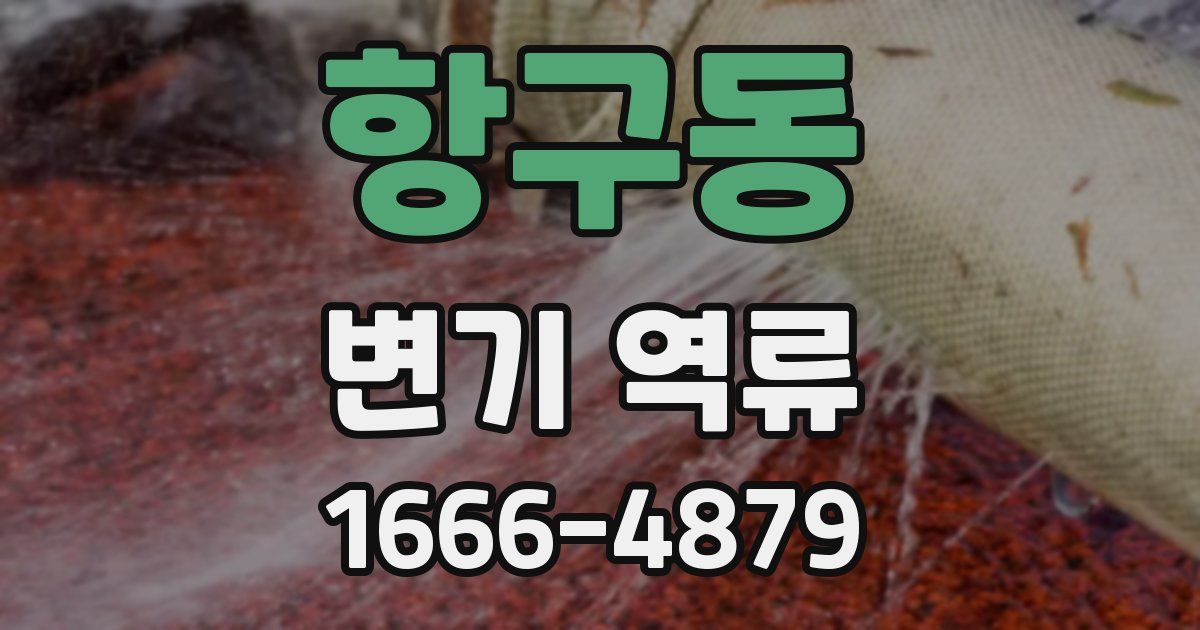 항구동 변기 역류