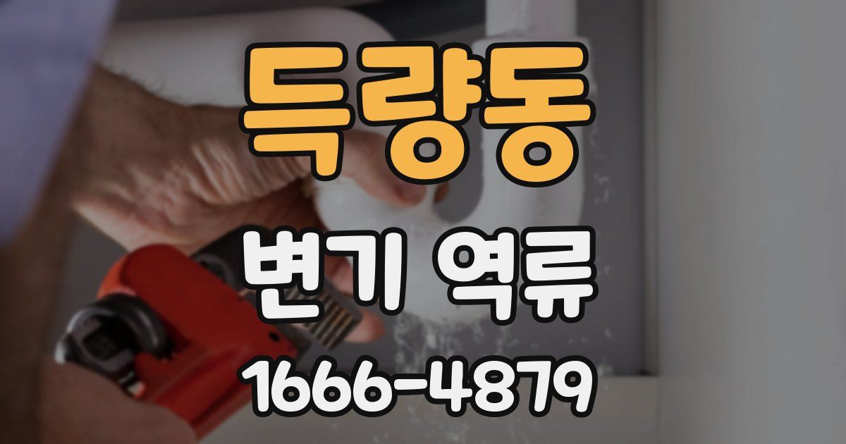 득량동 변기 역류