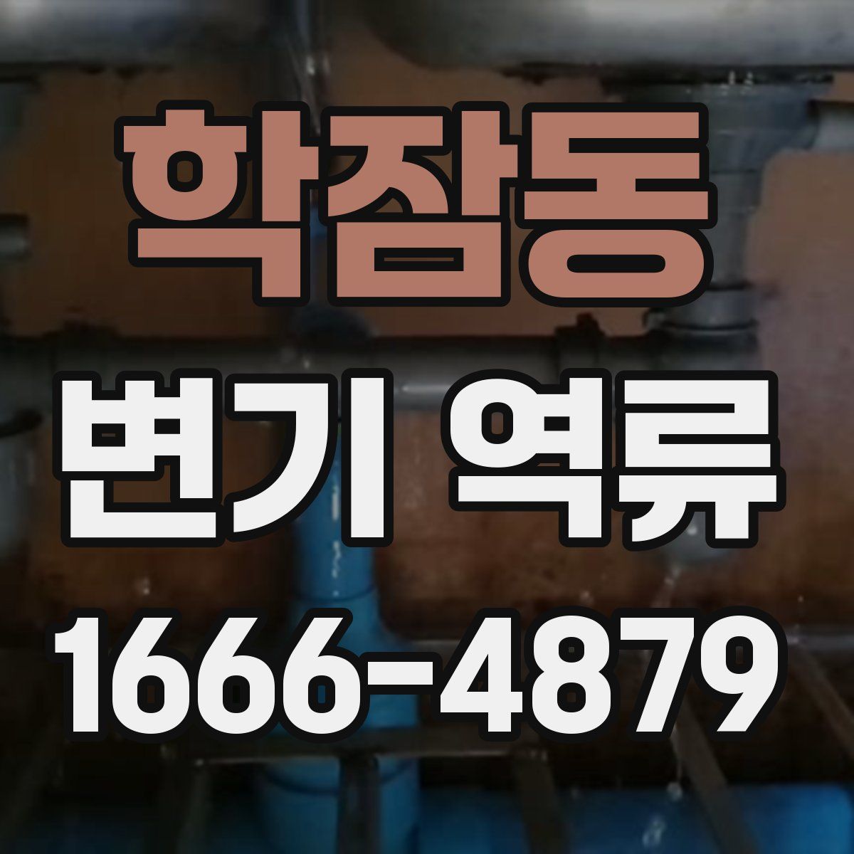 학잠동 변기 역류