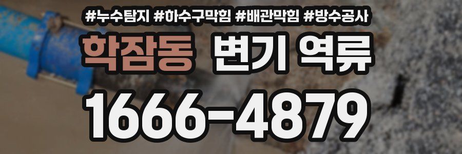 학잠동 변기 역류