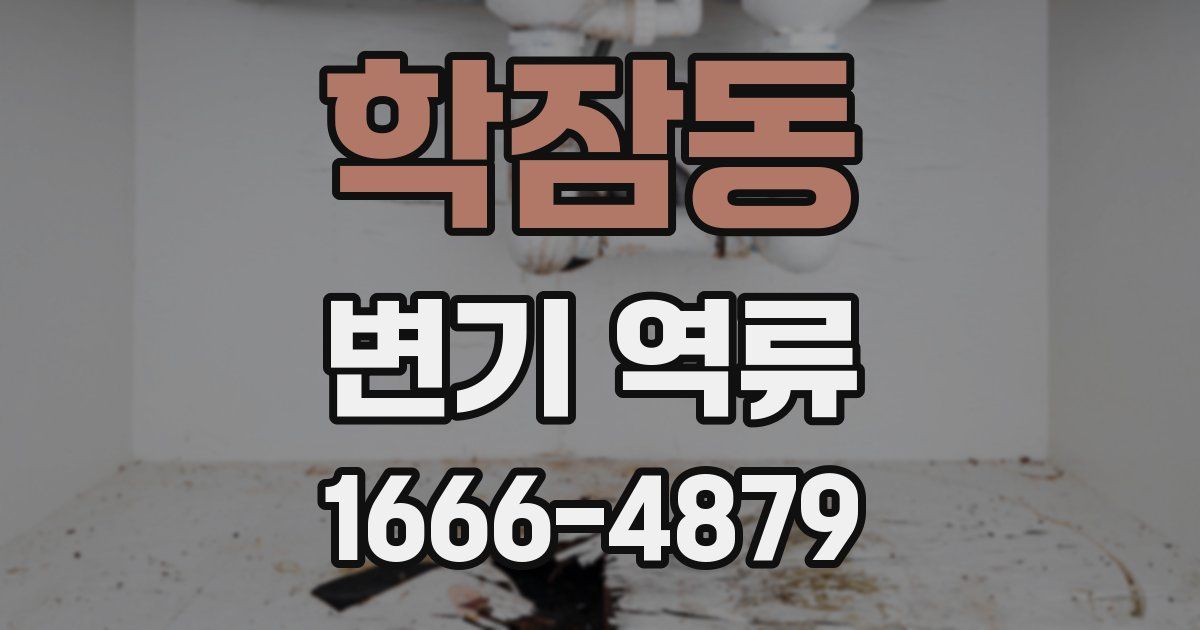 학잠동 변기 역류