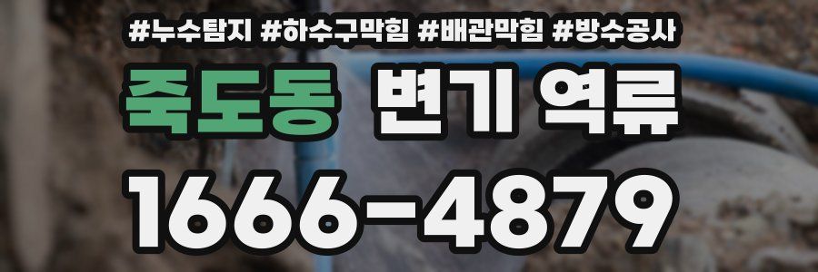 죽도동 변기 역류