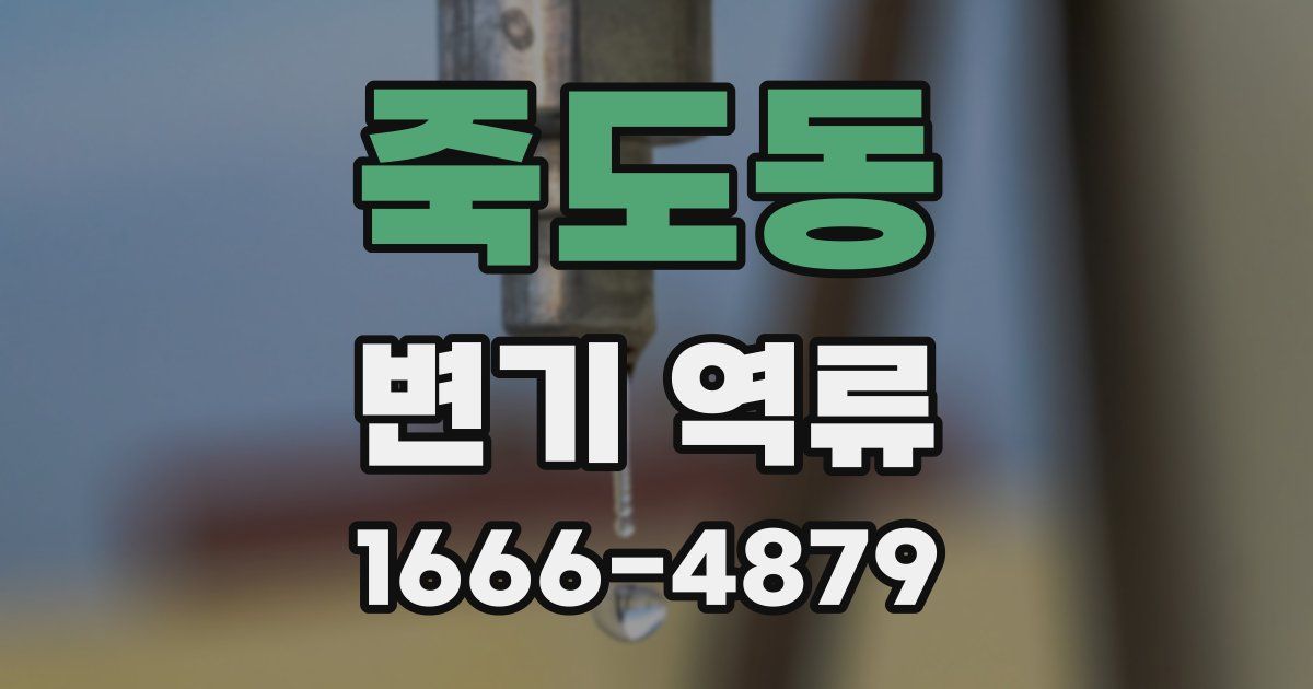 죽도동 변기 역류
