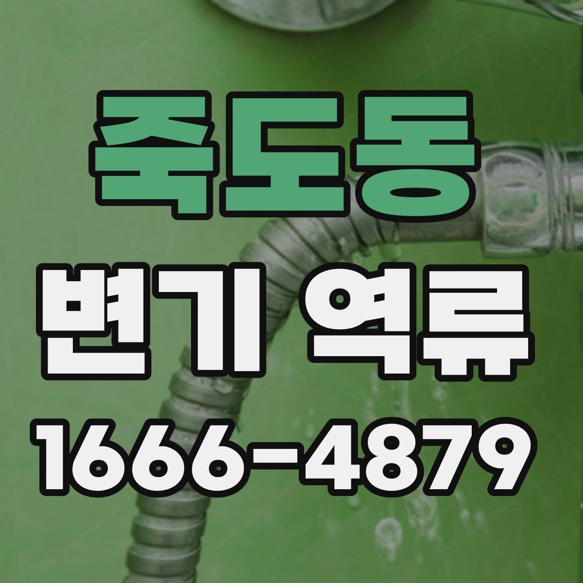 죽도동 변기 역류