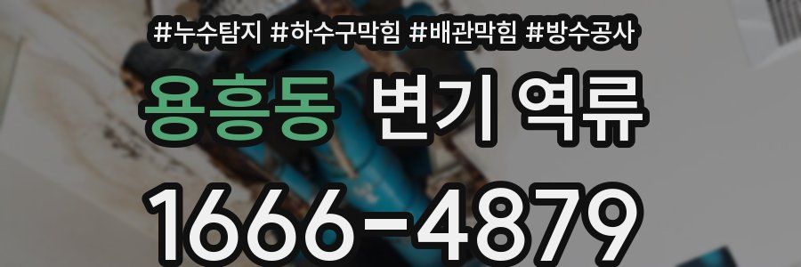 용흥동 변기 역류