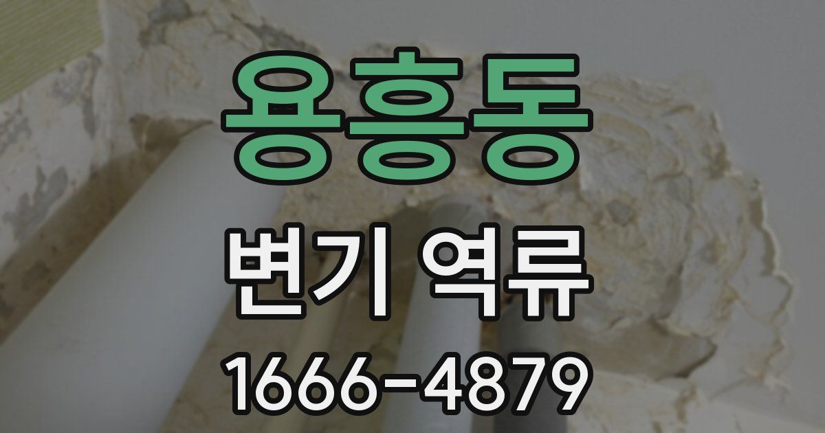 용흥동 변기 역류