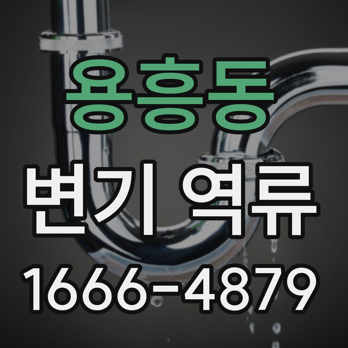 용흥동 변기 역류