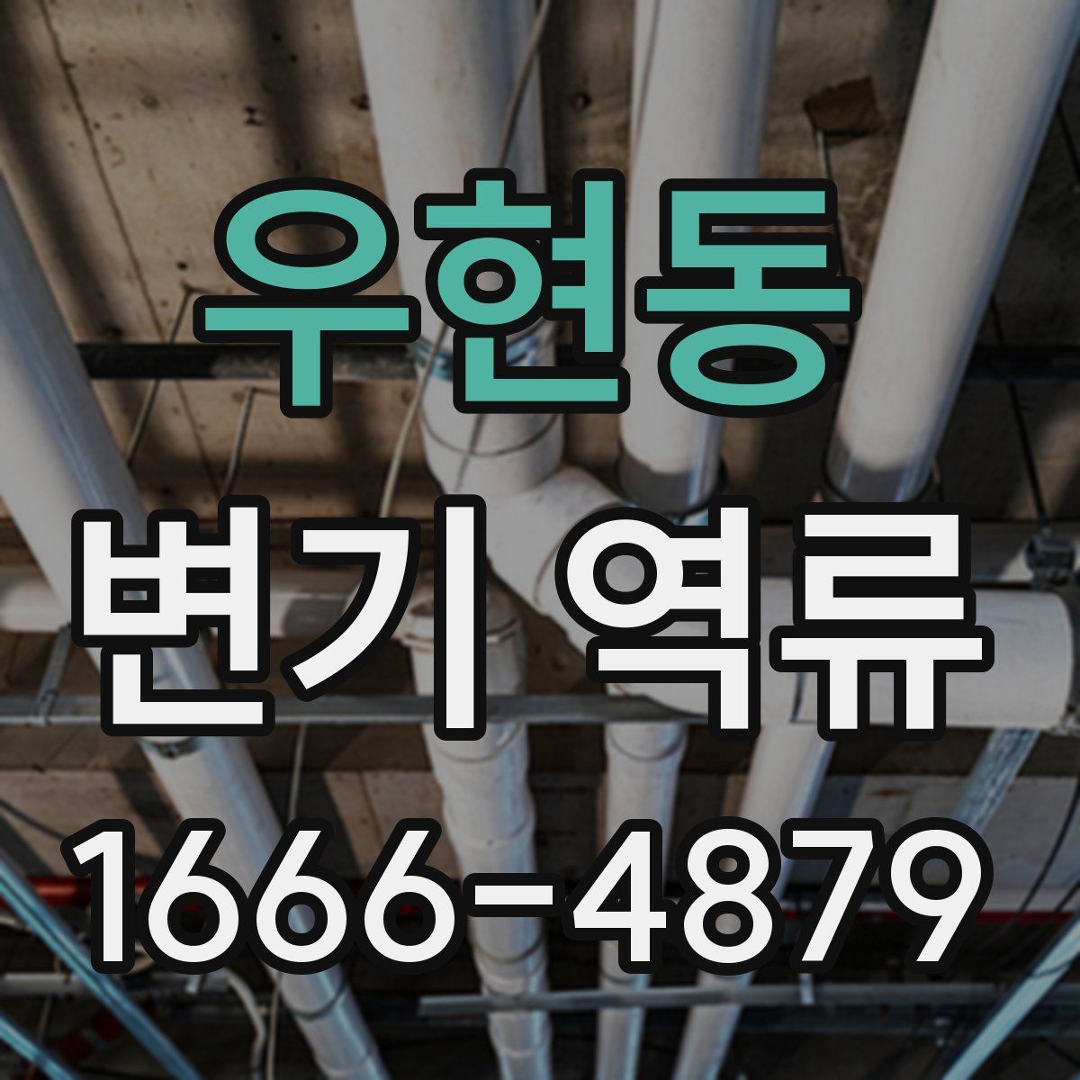 우현동 변기 역류