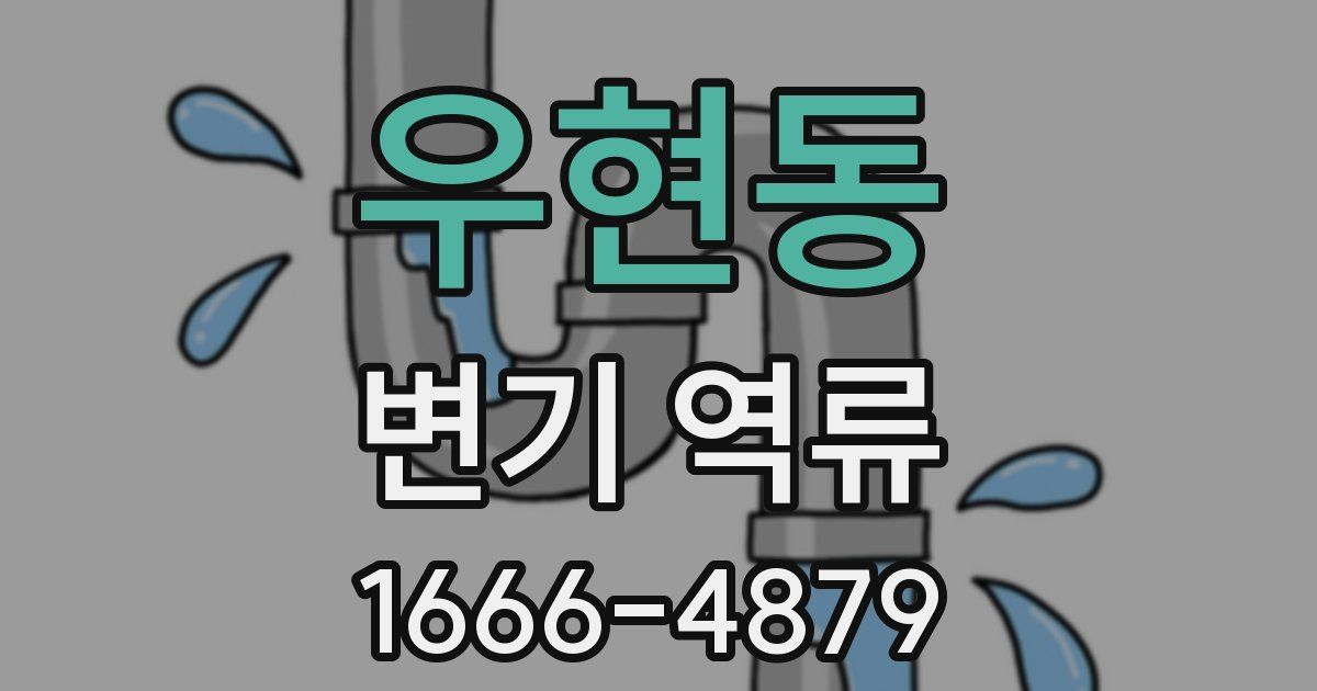 우현동 변기 역류