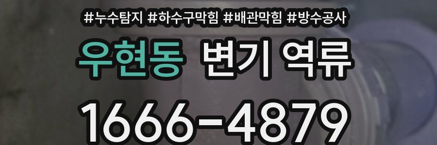 우현동 변기 역류