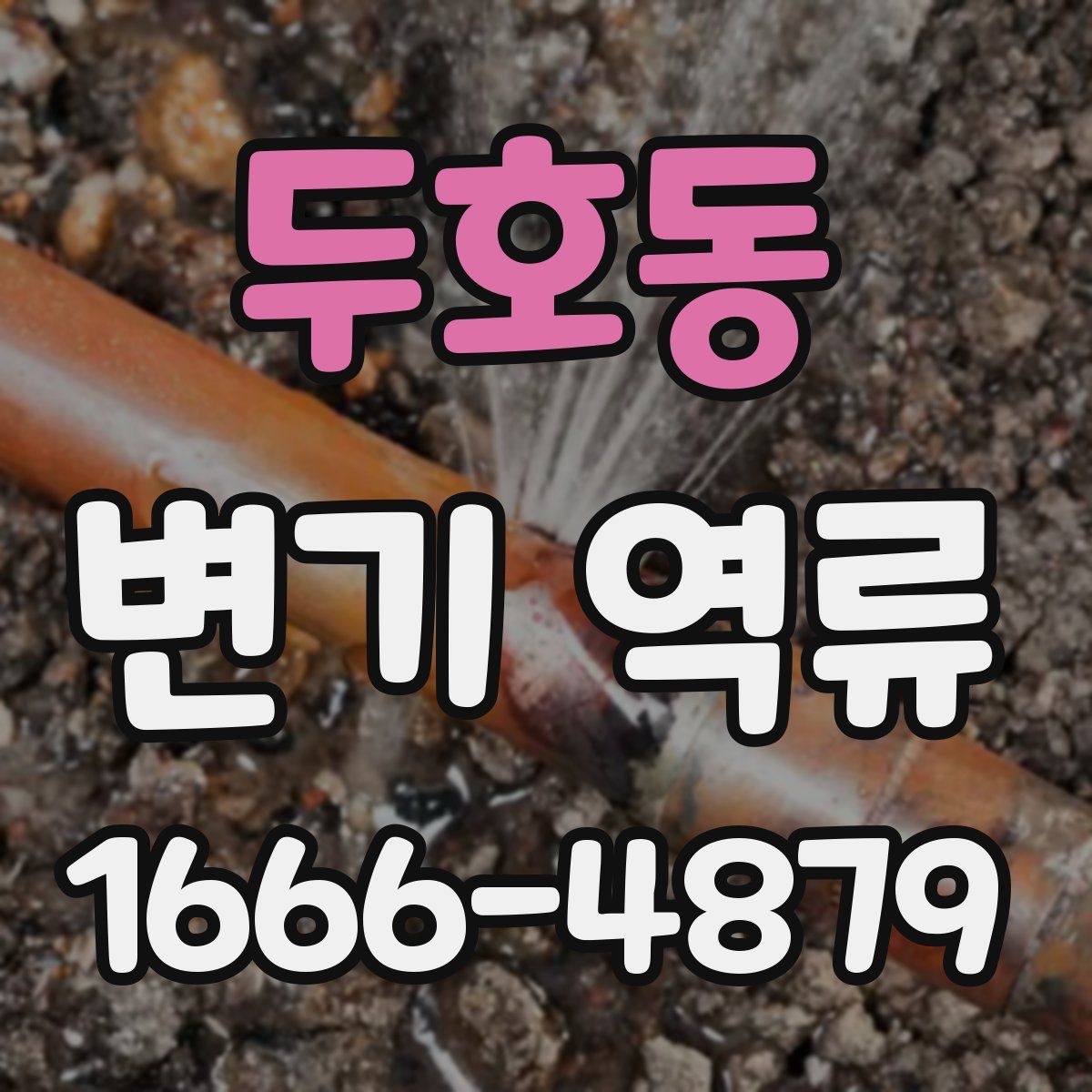 두호동 변기 역류