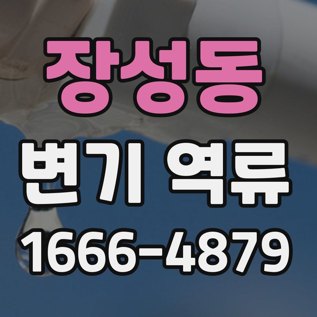 장성동 변기 역류