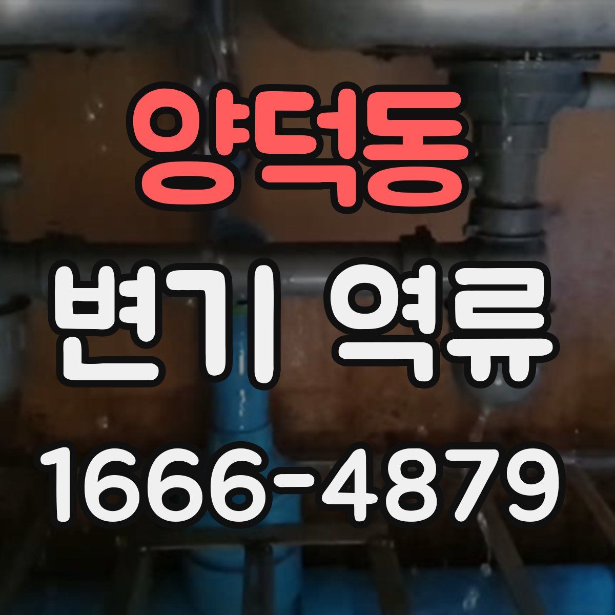 양덕동 변기 역류