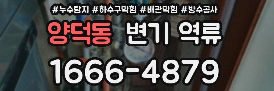 양덕동 변기 역류