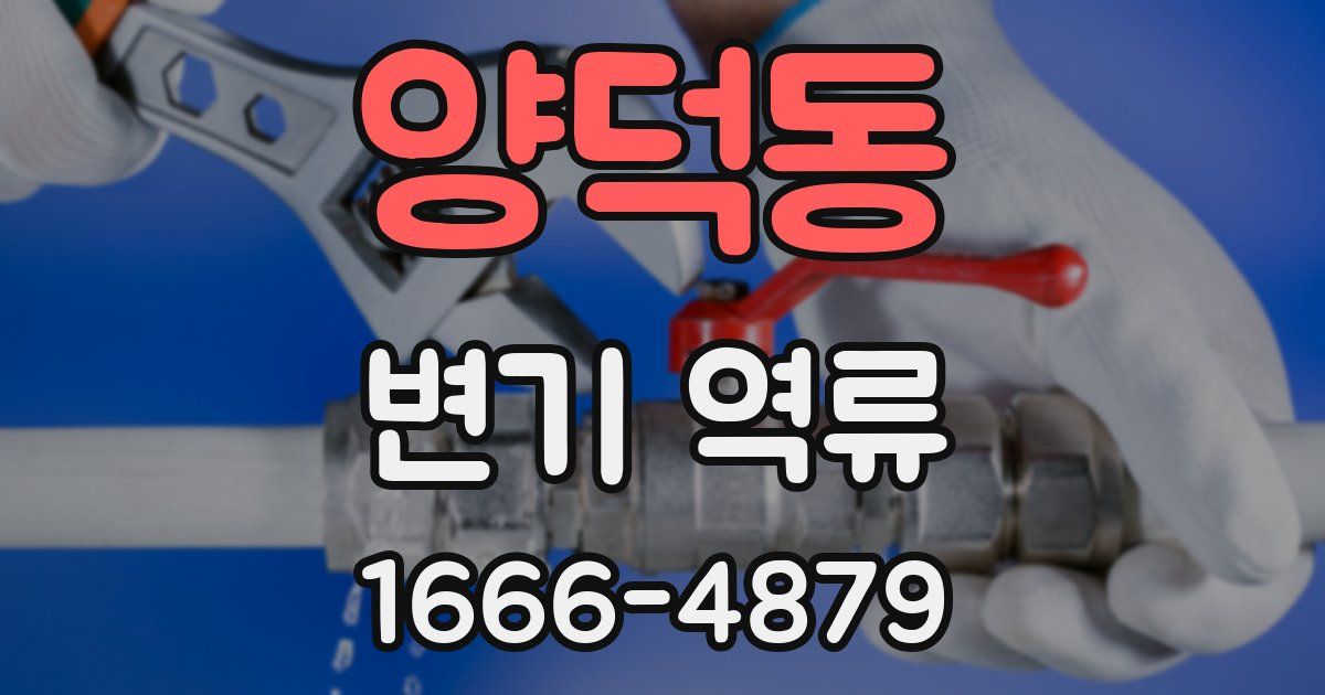 양덕동 변기 역류