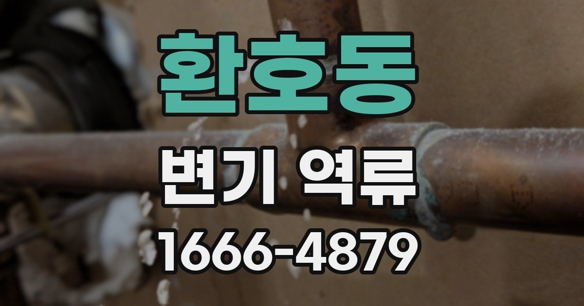 환호동 변기 역류