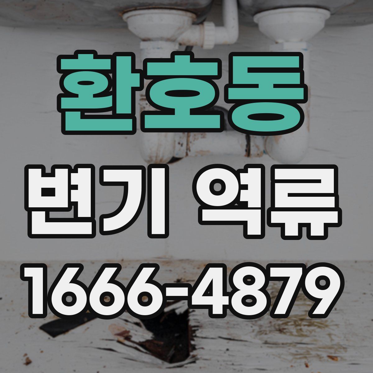 환호동 변기 역류