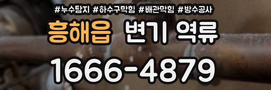 흥해읍 변기 역류