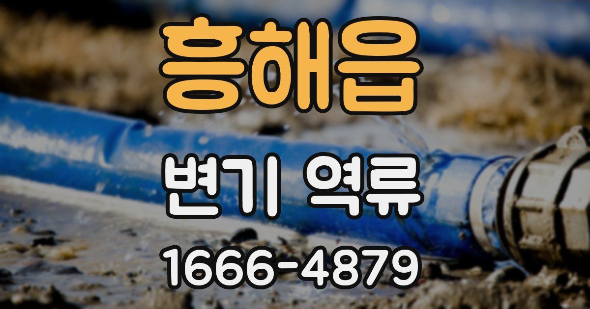 흥해읍 변기 역류