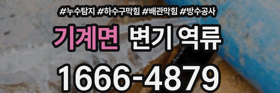 기계면 변기 역류