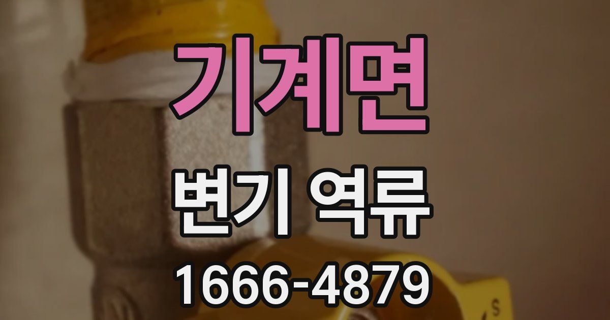 기계면 변기 역류